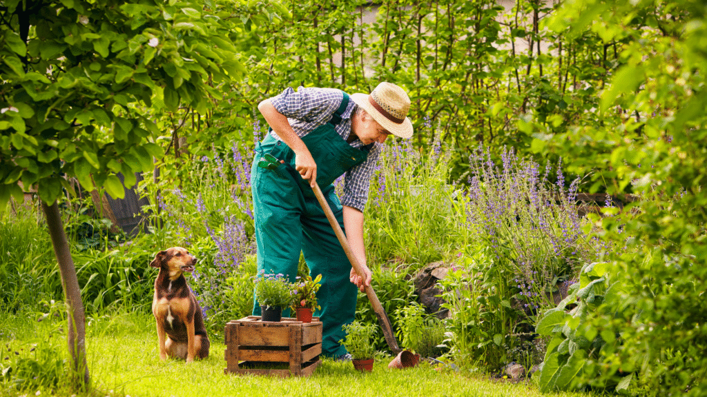 Gardening for Stress Relief