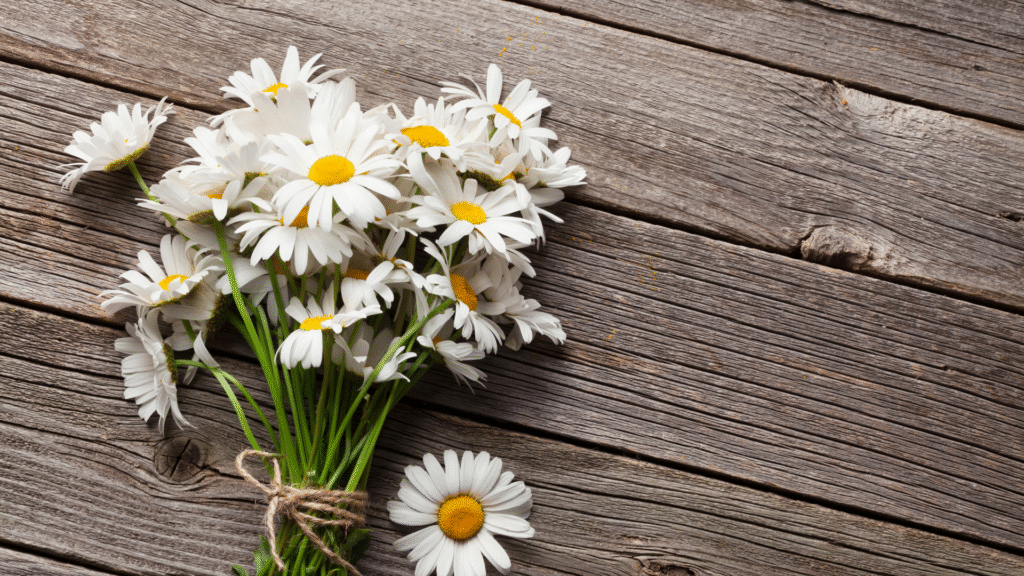 Ancient Remedies That Still Work