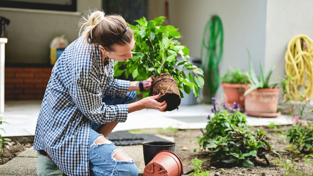 Gardening for Stress Relief