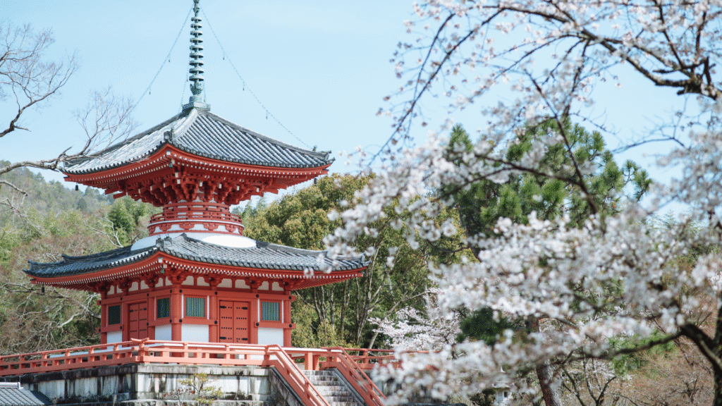 Japanese Longevity Secrets